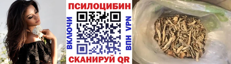 Псилоцибиновые грибы Psilocybine cubensis  Ливны 